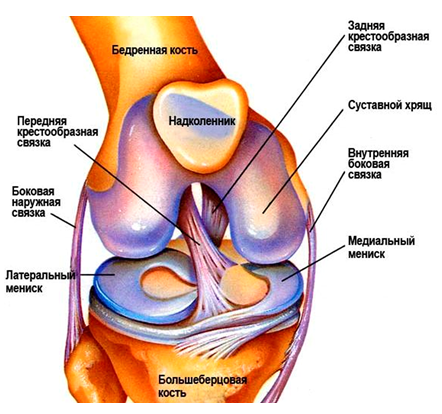 Разрыв боковой связки коленного сустава